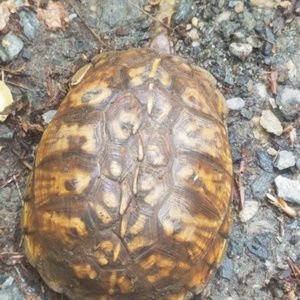 Meet your Posher, Kerry